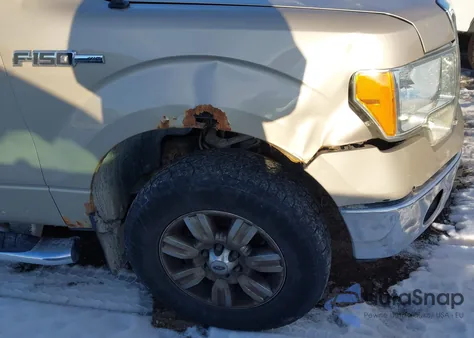 2010 Ford F-150 Fx4/Lariat/Xl/Xlt from USA, damaged, VIN 1FTFX1EVXAFC04481